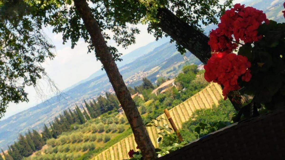 Il Leccio - Casa Toscana San Gimignano Гамбасси-Терме Экстерьер фото